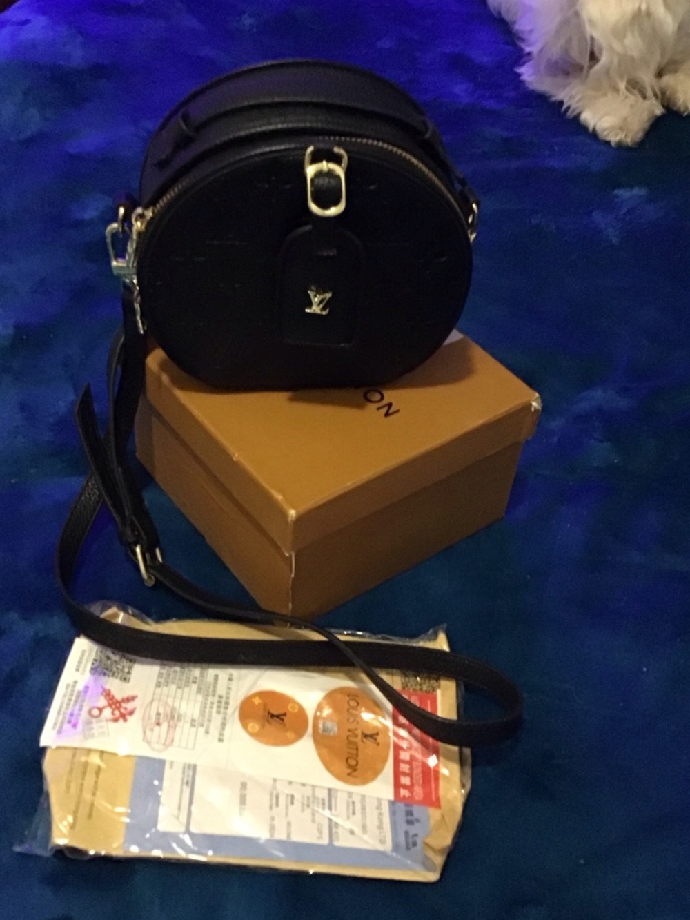Louis Vuitton Black Round Crossbody with Gold Hardware